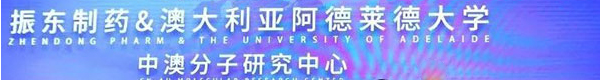 振东制药：中美双报终出硕果，开启创新药国际化新篇章