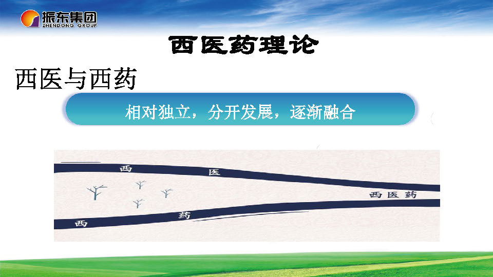 中医药走向国际的思考